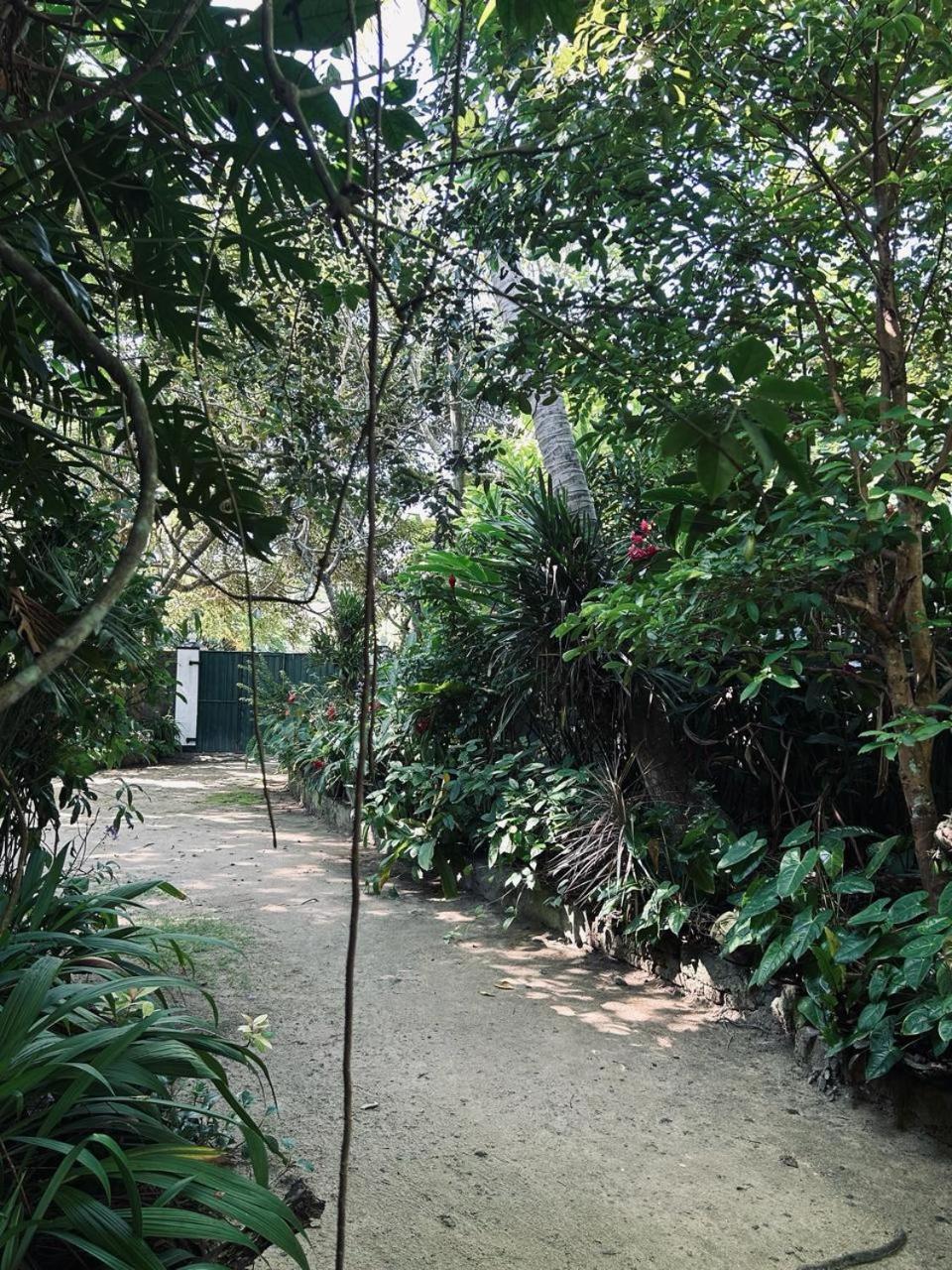 Green Corridor - アハンガマ 部屋 写真
