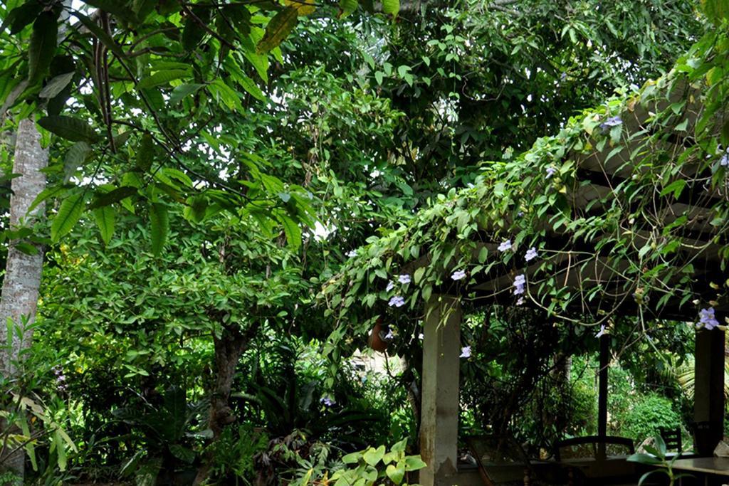 Green Corridor - アハンガマ エクステリア 写真